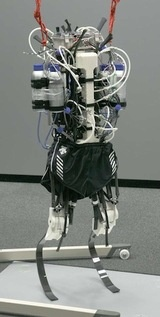 Illustration for article titled Someday, This Robot Will Run Faster Than Us All